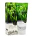 3W Clinic Green Tea Foam Cleansing – 100ml