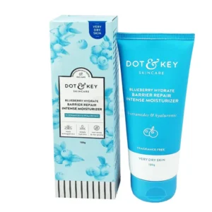 Dot Key blueberry Hydrate Barrier Repair Intense Moisturizer100g